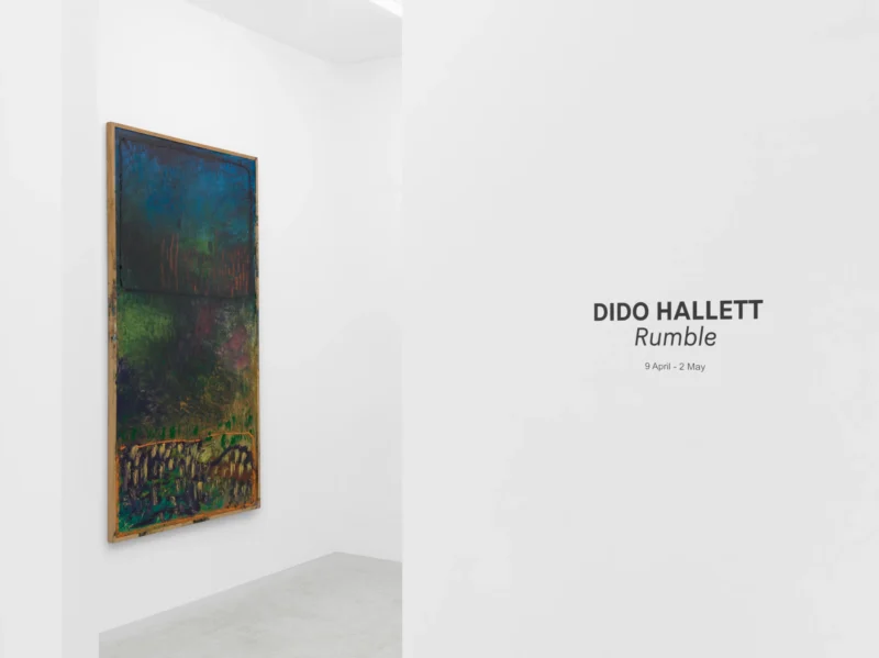 Installation shot from Dido Hallett: Rumble, @ Sim Smith