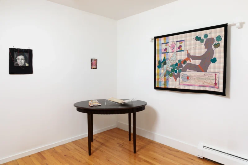 Installation shot from Sas Colby & Keith Smith: Stitching Desire, @ Stellarhighway