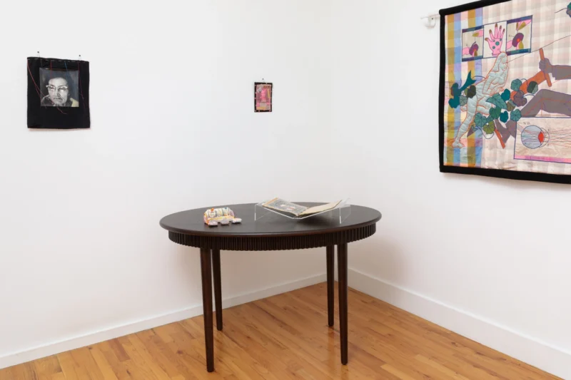 Installation shot from Sas Colby & Keith Smith: Stitching Desire, @ Stellarhighway
