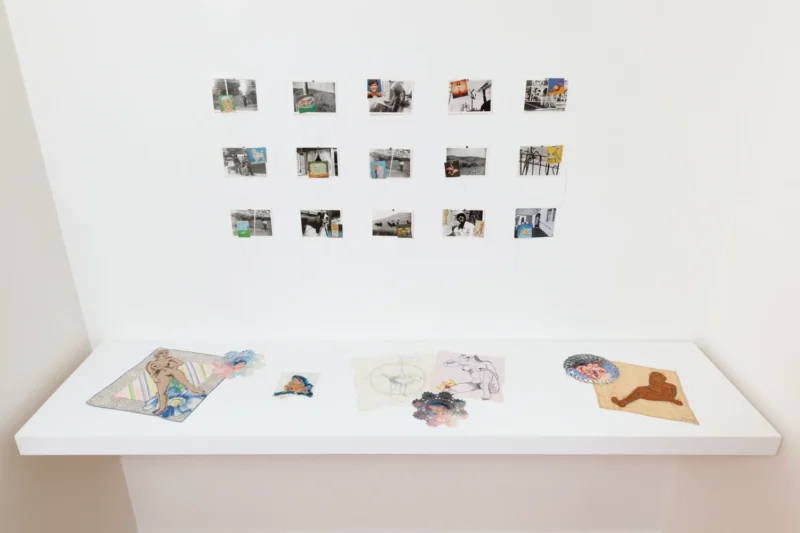 Installation shot from Sas Colby & Keith Smith: Stitching Desire, @ Stellarhighway