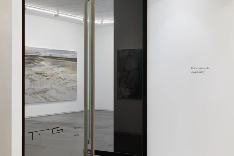 Installation shot from Reika Takebayashi: A petal falling, @ Taka Ishii Gallery