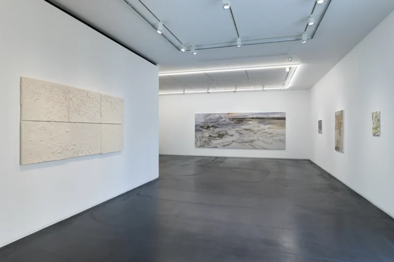Installation shot from Reika Takebayashi: A petal falling, @ Taka Ishii Gallery