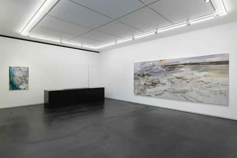 Installation shot from Reika Takebayashi: A petal falling, @ Taka Ishii Gallery