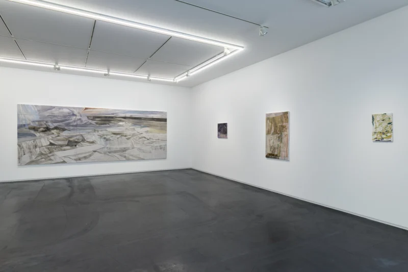 Installation shot from Reika Takebayashi: A petal falling, @ Taka Ishii Gallery