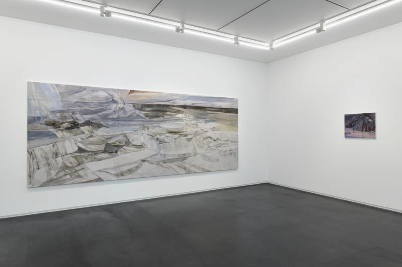 Installation shot from Reika Takebayashi: A petal falling, @ Taka Ishii Gallery