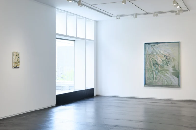 Installation shot from Reika Takebayashi: A petal falling, @ Taka Ishii Gallery