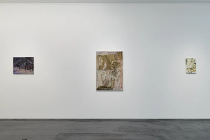 Installation shot from Reika Takebayashi: A petal falling, @ Taka Ishii Gallery