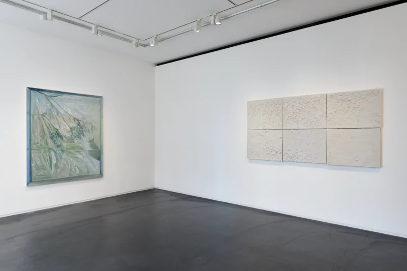 Installation shot from Reika Takebayashi: A petal falling, @ Taka Ishii Gallery