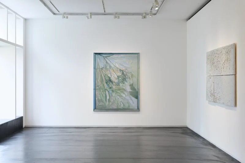 Installation shot from Reika Takebayashi: A petal falling, @ Taka Ishii Gallery