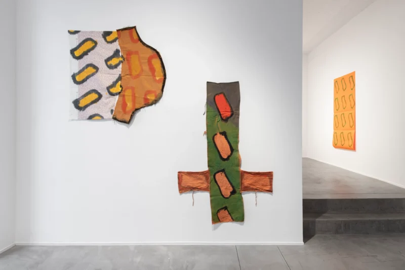 Installation shot from Claude Viallat, @ Templon