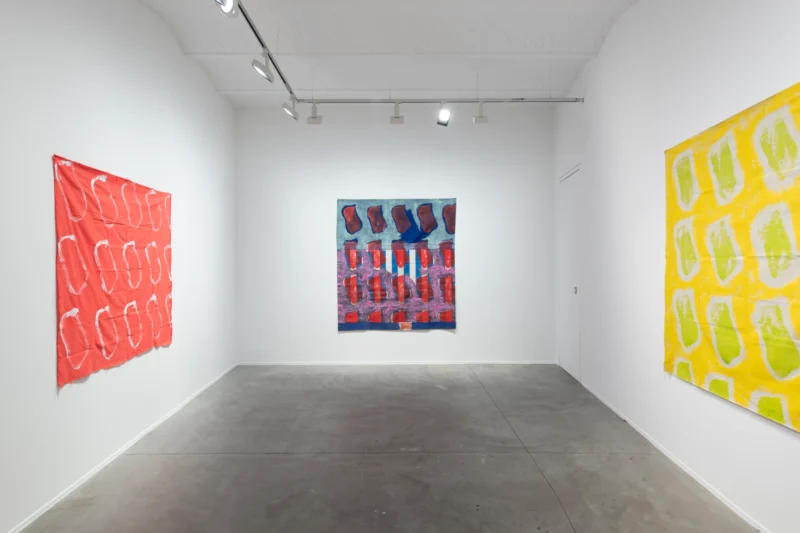 Installation shot from Claude Viallat, @ Templon