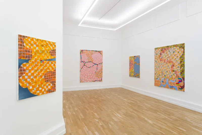 Installation shot from Lisa Corinne Davis: Tangible Tale, @ The Mayor Gallery