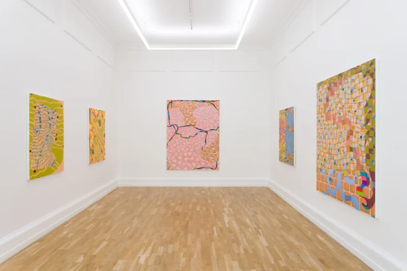 Installation shot from Lisa Corinne Davis: Tangible Tale, @ The Mayor Gallery