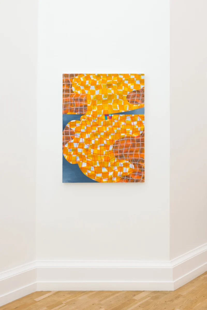 Installation shot from Lisa Corinne Davis: Tangible Tale, @ The Mayor Gallery