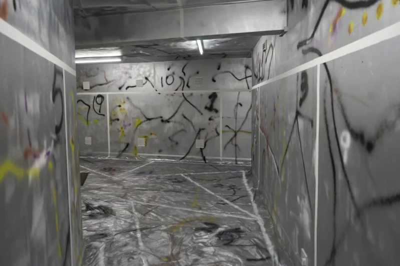 Installation shot from Ho-sa Wang: Vomit Green and Muddy Brown, @ Twilight Contemporary