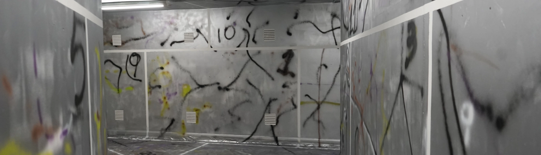 Image for Ho-sa Wang: Vomit Green and Muddy Brown at Twilight Contemporary