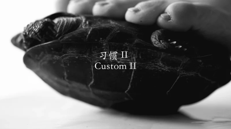 Xu Qu, Custom II, 2014