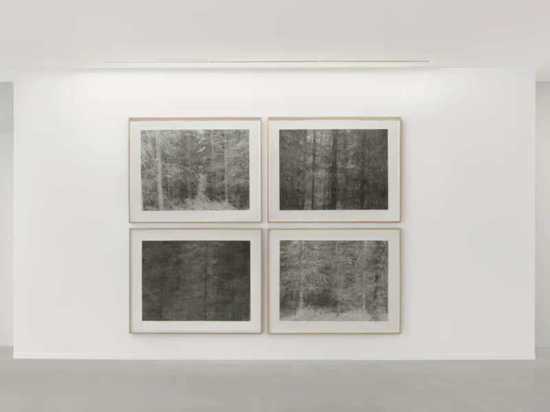 Installation shot from Christiane Baumgartner: The Long Goodbye, @ Zander Galerie