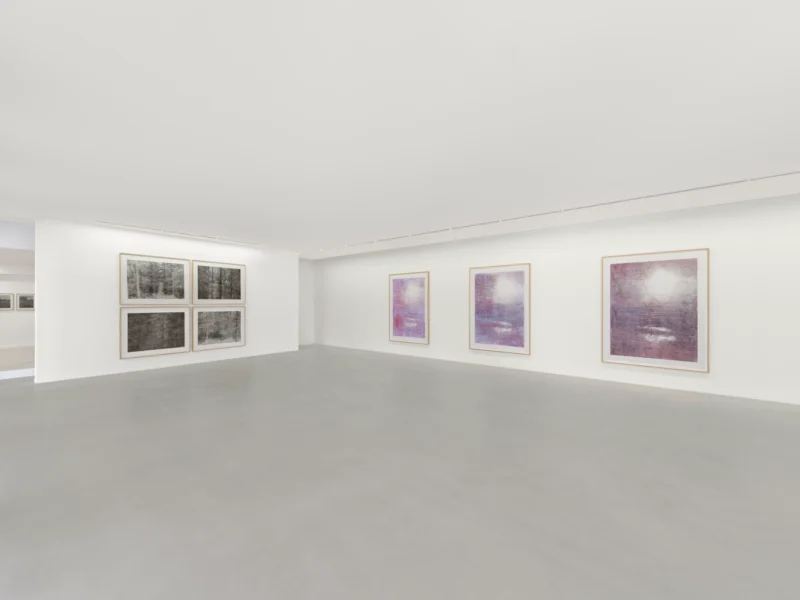 Installation shot from Christiane Baumgartner: The Long Goodbye, @ Zander Galerie