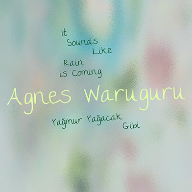 Image from Agnes Waruguru: It Sounds Like Rain is Coming, at SANATORIUM