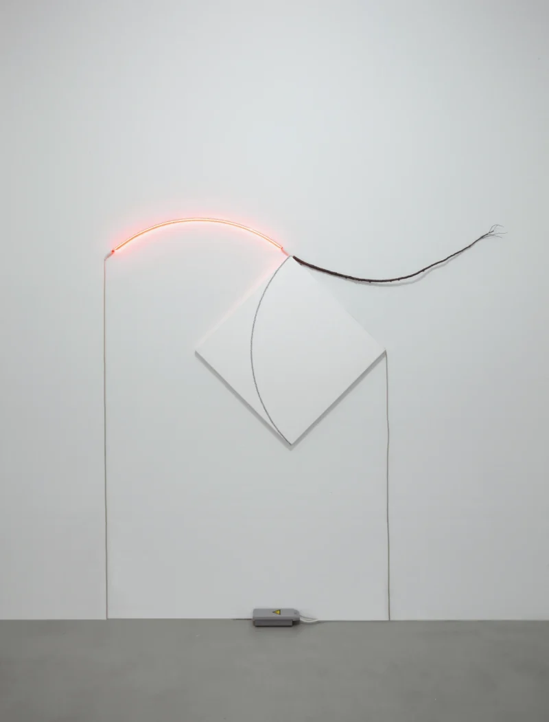 François Morellet, Courbettes n.9, 1995