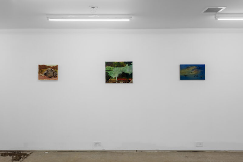Installation shot from What Holds, What Lingers, @ LATITUDE Gallery