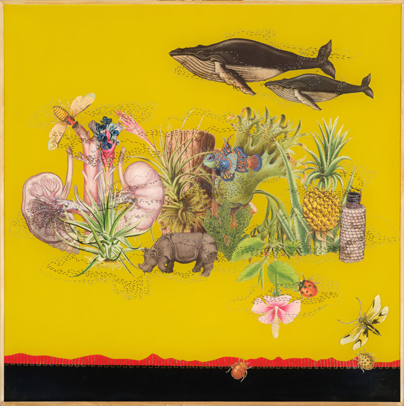 Unknown artist, Whales in the Clouds, 2025