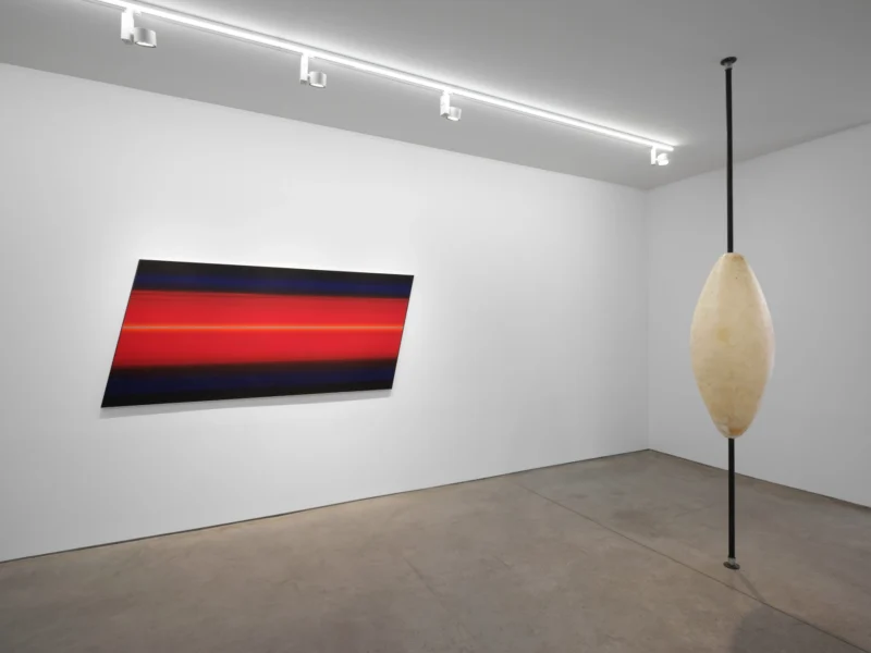 Installation shot from Michel François, @ Art: Concept