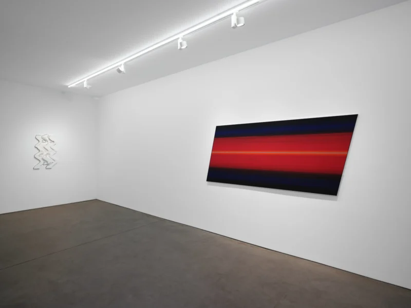 Installation shot from Michel François, @ Art: Concept