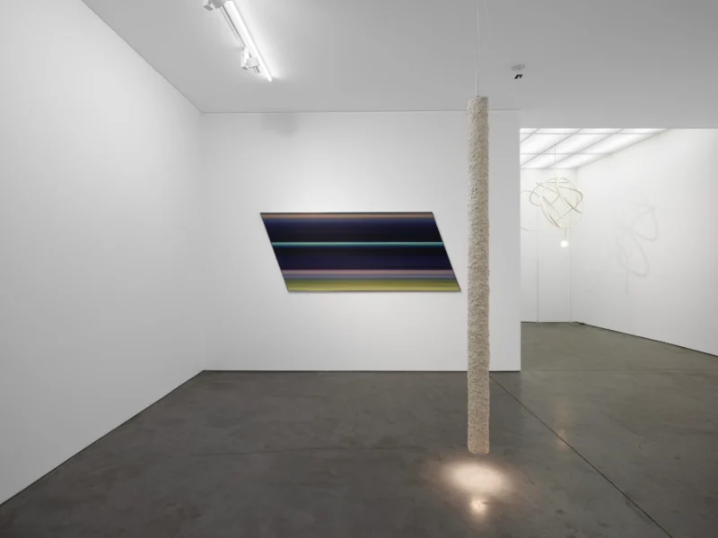 Installation shot from Michel François, @ Art: Concept