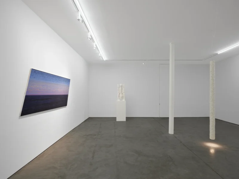 Installation shot from Michel François, @ Art: Concept
