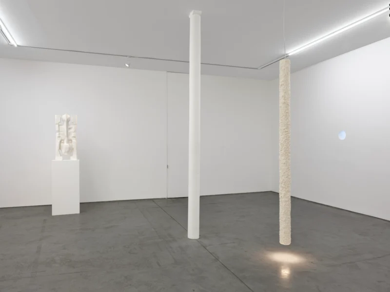 Installation shot from Michel François, @ Art: Concept