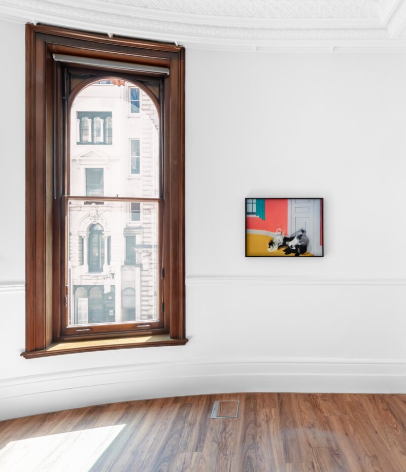 Installation shot from Jason Shulman: Moving Pictures, @ Ashley Saville