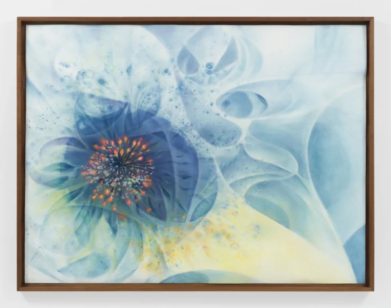 Firelei Báez, Entre la piedra y la flor (unaltered by continuous, reversible transformations), 2026