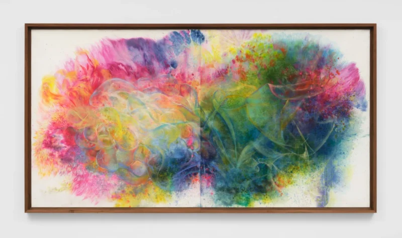 Firelei Báez, Kairos Calabi-Yau (or the universal fold: its crease, its double, its assassin, its complement), 2026