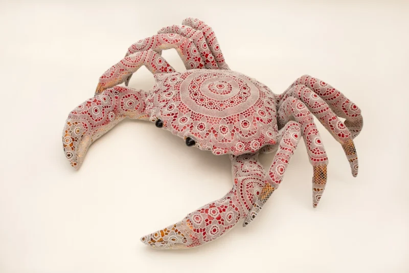 Joana Vasconcelos, Nébula, 2025