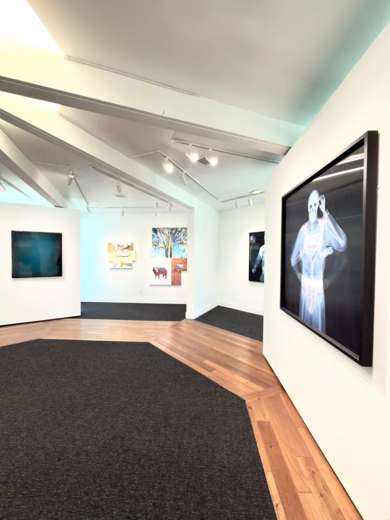 Installation shot from Pupil & Pulse: An East-West Dialogue of Perception Chapter I, @ Bluerider ART