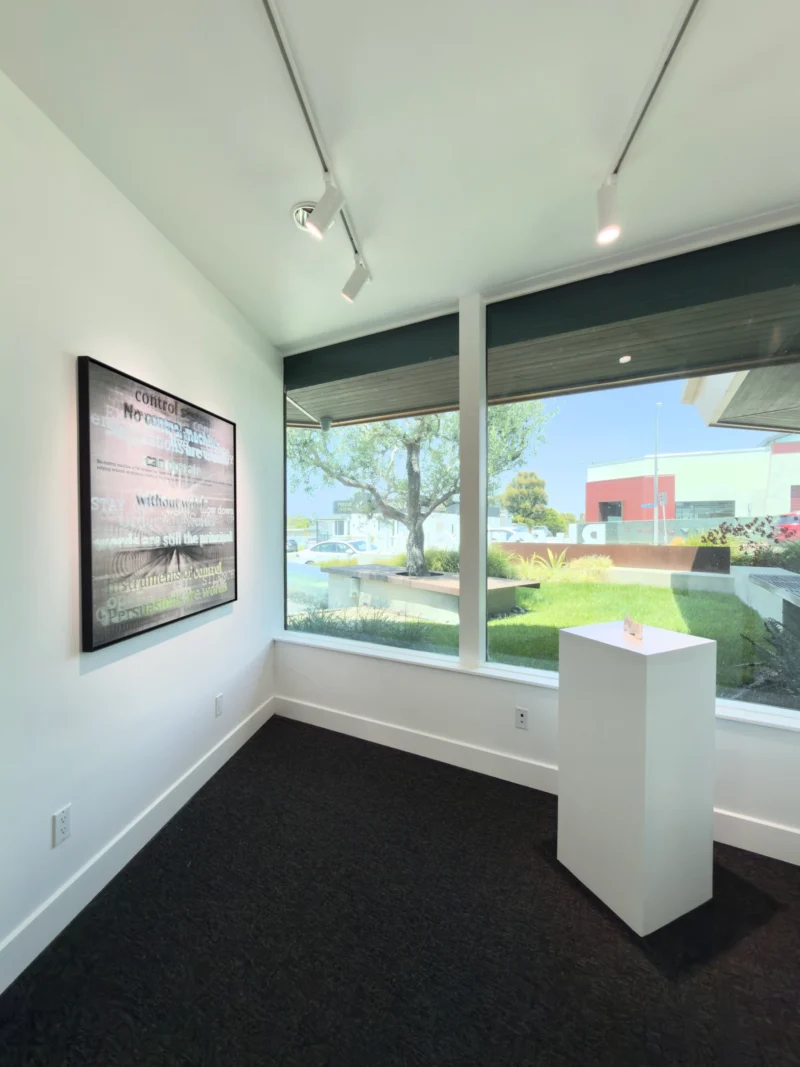 Installation shot from Pupil & Pulse: An East-West Dialogue of Perception Chapter I, @ Bluerider ART