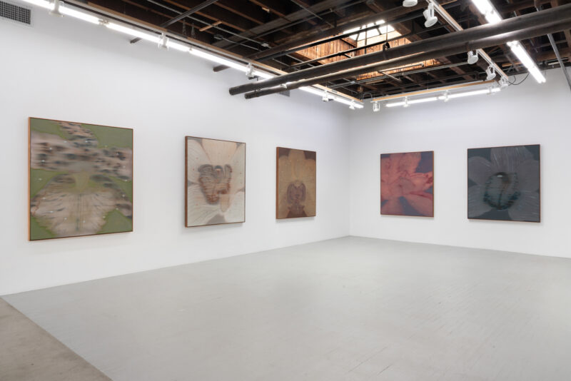 Installation shot from Heath Wae: Mineral Meridian, @ CARVALHO
