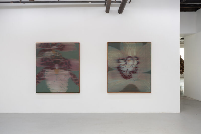 Installation shot from Heath Wae: Mineral Meridian, @ CARVALHO