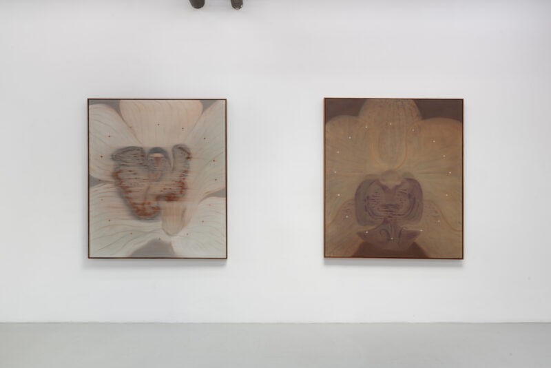 Installation shot from Heath Wae: Mineral Meridian, @ CARVALHO