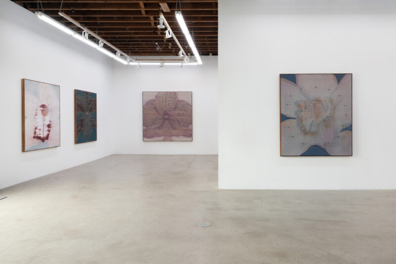 Installation shot from Heath Wae: Mineral Meridian, @ CARVALHO