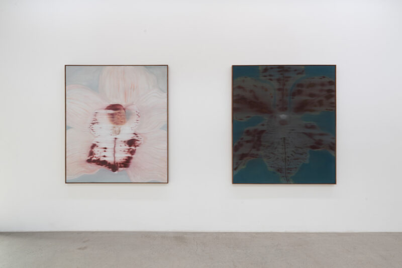 Installation shot from Heath Wae: Mineral Meridian, @ CARVALHO
