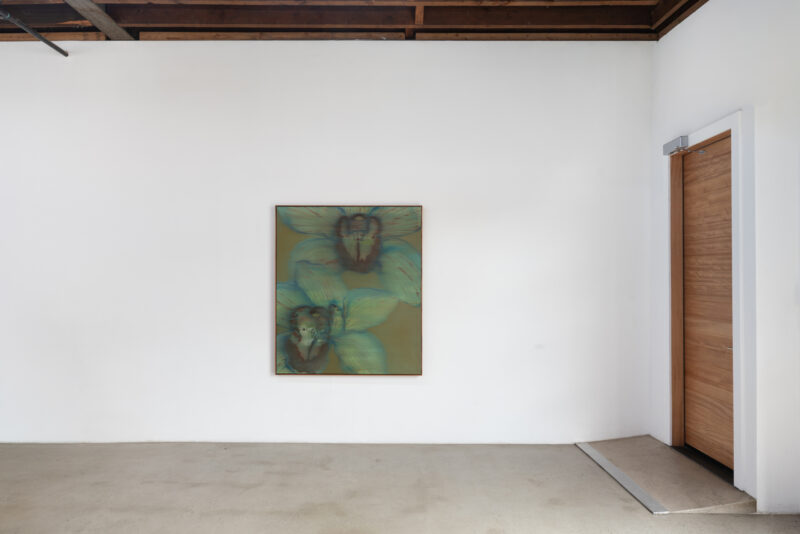 Installation shot from Heath Wae: Mineral Meridian, @ CARVALHO