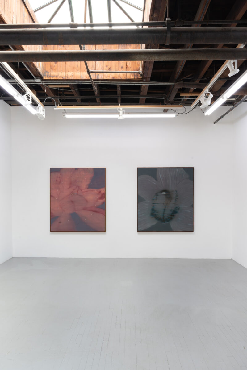 Installation shot from Heath Wae: Mineral Meridian, @ CARVALHO