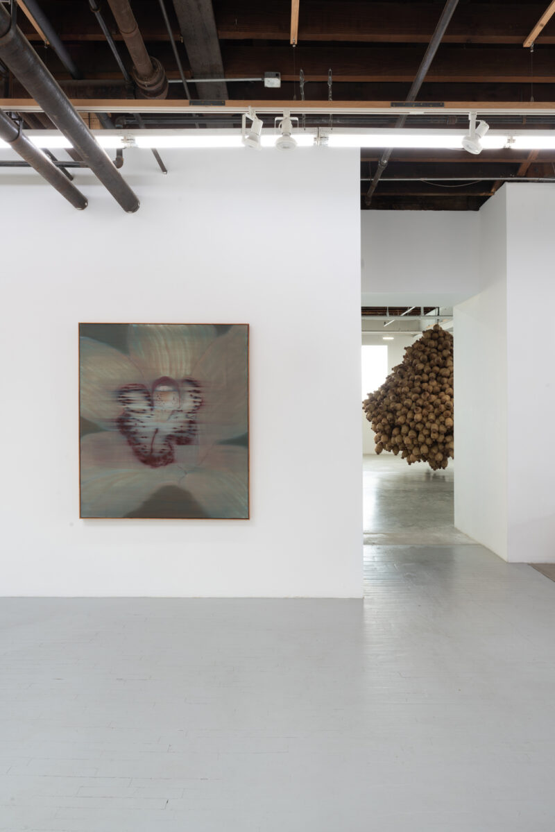 Installation shot from Heath Wae: Mineral Meridian, @ CARVALHO