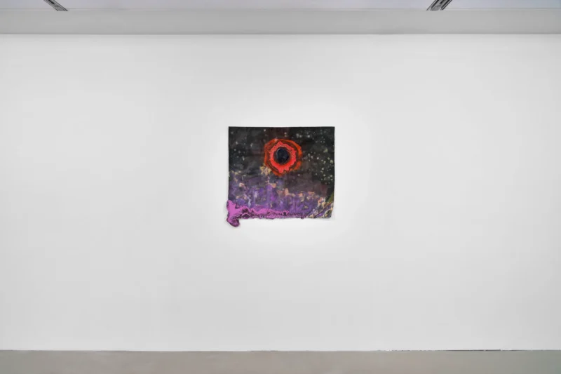 Installation shot from Rodney McMillian: In Other Realms, @ Capitain Petzel