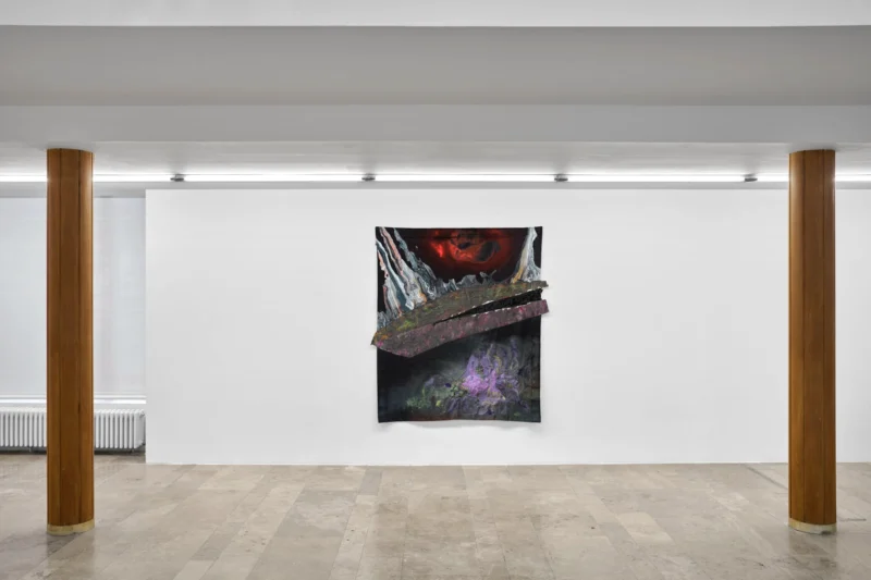 Installation shot from Rodney McMillian: In Other Realms, @ Capitain Petzel