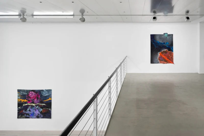 Installation shot from Rodney McMillian: In Other Realms, @ Capitain Petzel