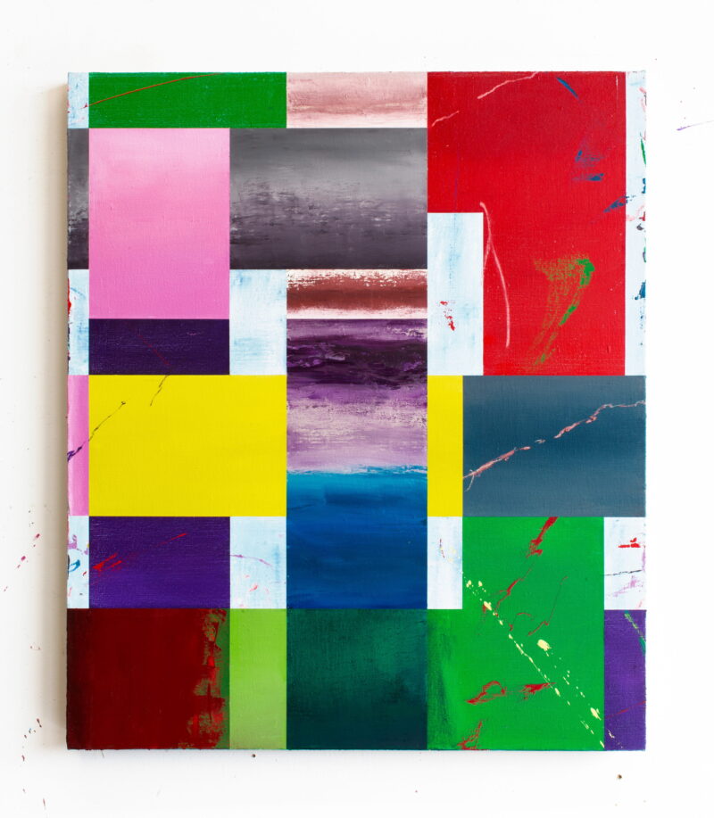 Pablo Griss, Fragments of a Residual Landscape, 2026
